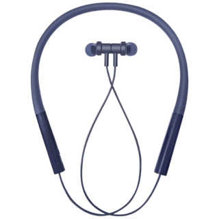 Neckband